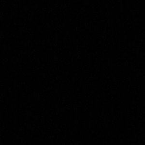 Meet your Posher, Terry